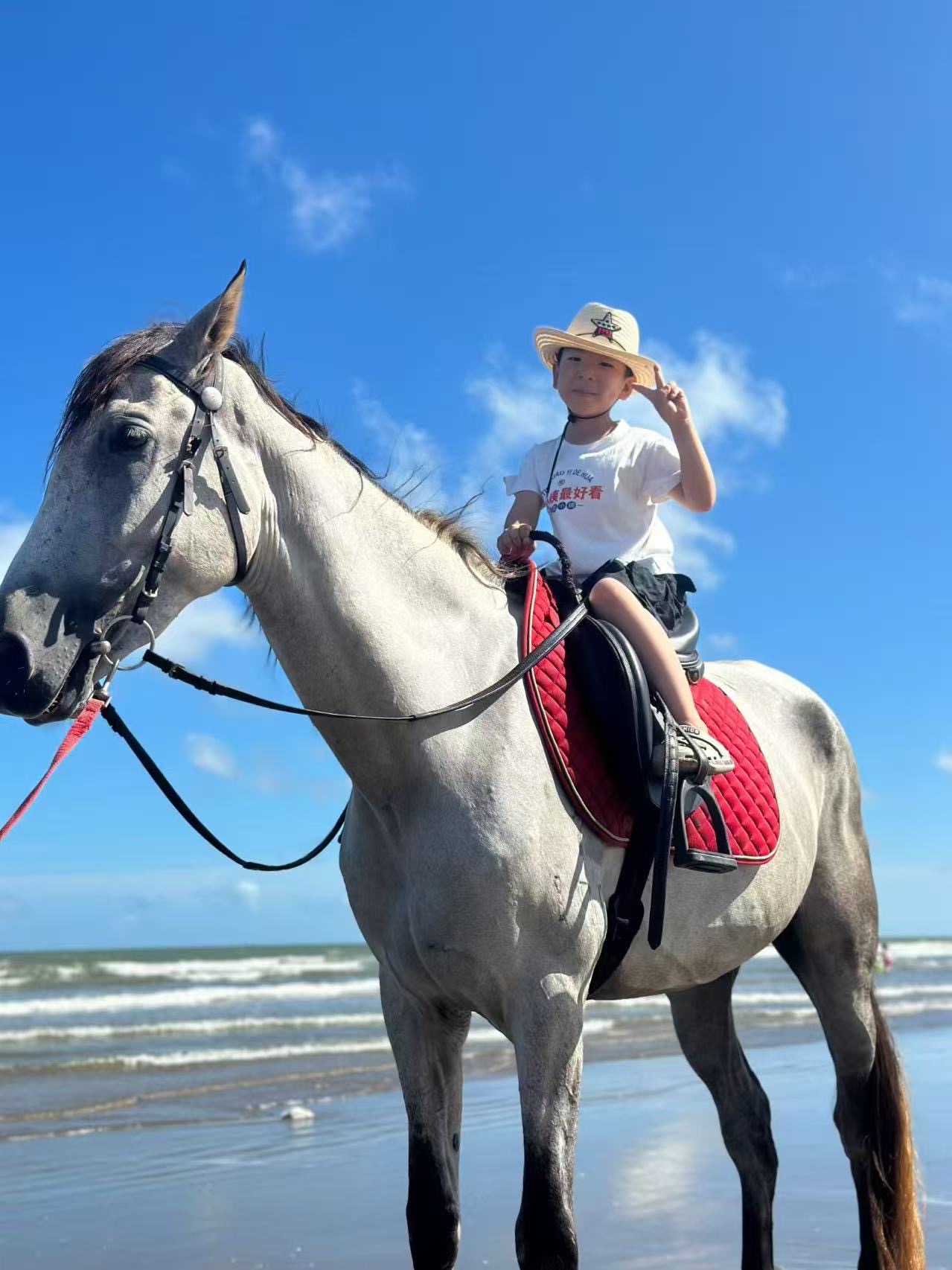 7月4🏖️海邊親子騎馬研學活動🐴 - Image 6