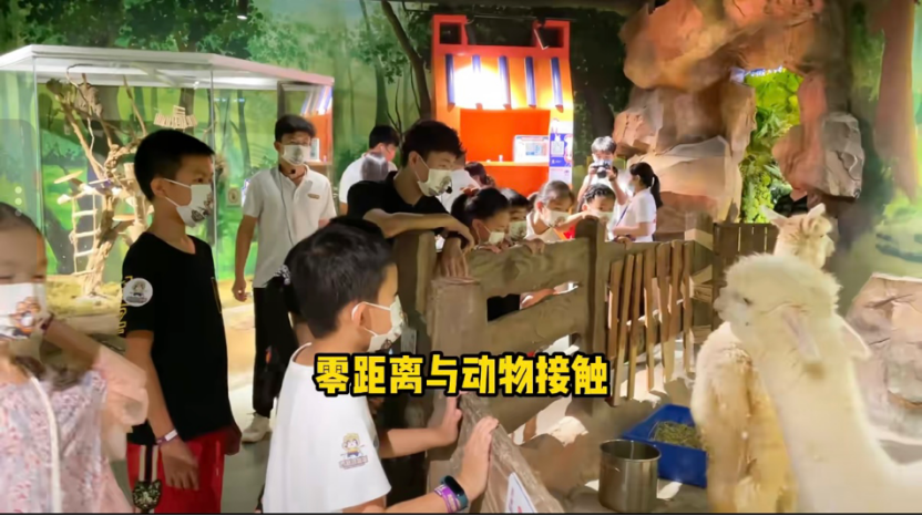 7月4🐇 印象城西游動物城|小小飼養員親子體驗 - Image 2