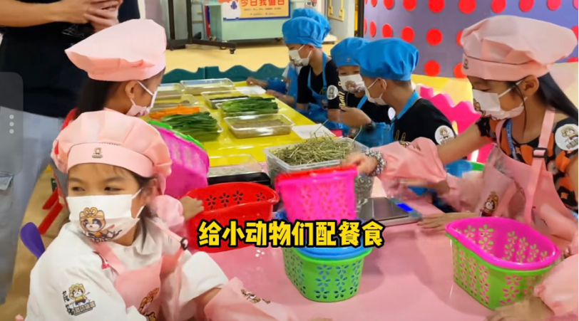 7月4🐇 印象城西游動物城|小小飼養員親子體驗 - Image 4