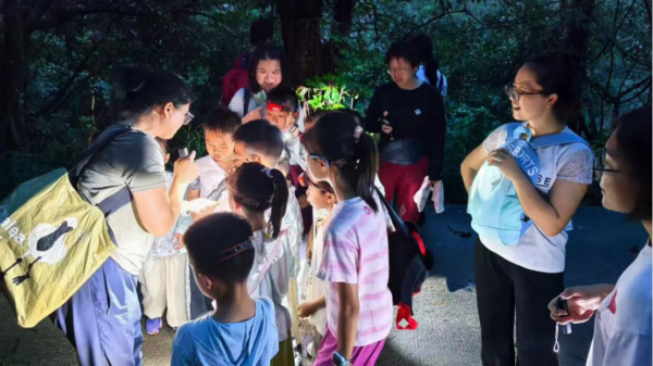 Alternative view of 7月4 🐞 圓明新園夜觀昆蟲自然課