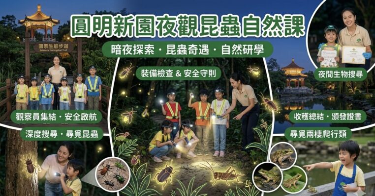 7月4 🐞 圓明新園夜觀昆蟲自然課